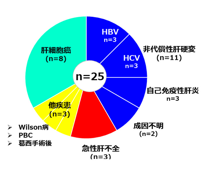 生体肝移植 疾患別内訳 円グラフ